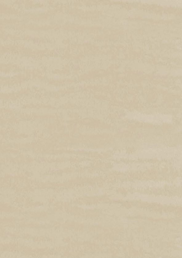 Panou decorativ lemn 81029