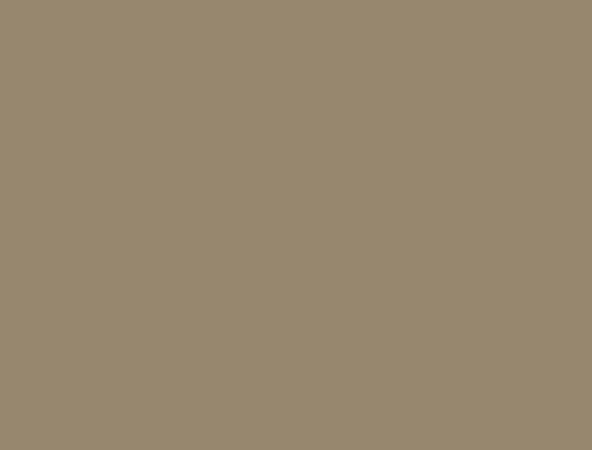 Panou decorativ uniform 3038
